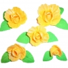 Mieczyk zestaw(żółty ciemny) Średnice kwiatów:od 2cm do 6cm