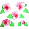 Mieczyk zestaw(różowy cieniowany) Średnice kwiatów:od 2cm do 6cm