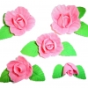 Mieczyk zestaw(różowy) Średnice kwiatów:od 2cm do 6cm