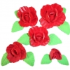 Mieczyk zestaw(czerwony) Średnice kwiatów:od 2cm do 6cm