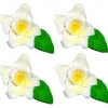 Storczyk zestaw Dora(biało-żółty) Średnica kwiatu:6cm
